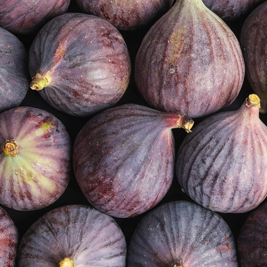 Fruity Scents | True Grace