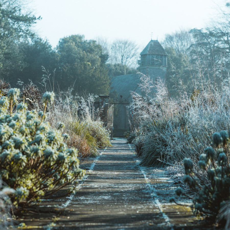 Walled Garden | True Grace